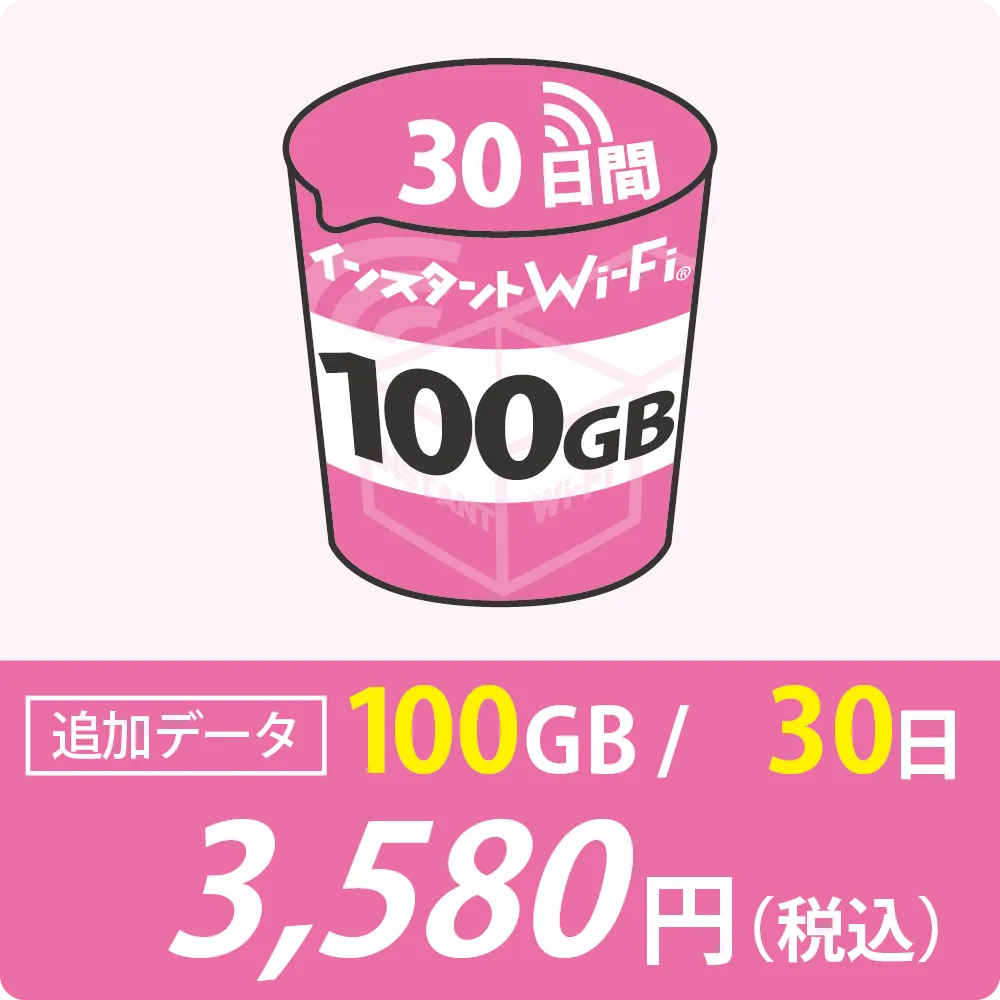 追加データ100GB/30日
