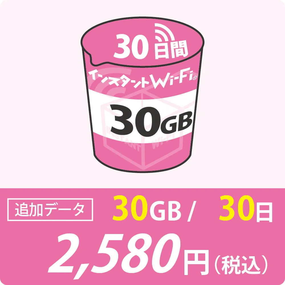 追加データ30GB/30日