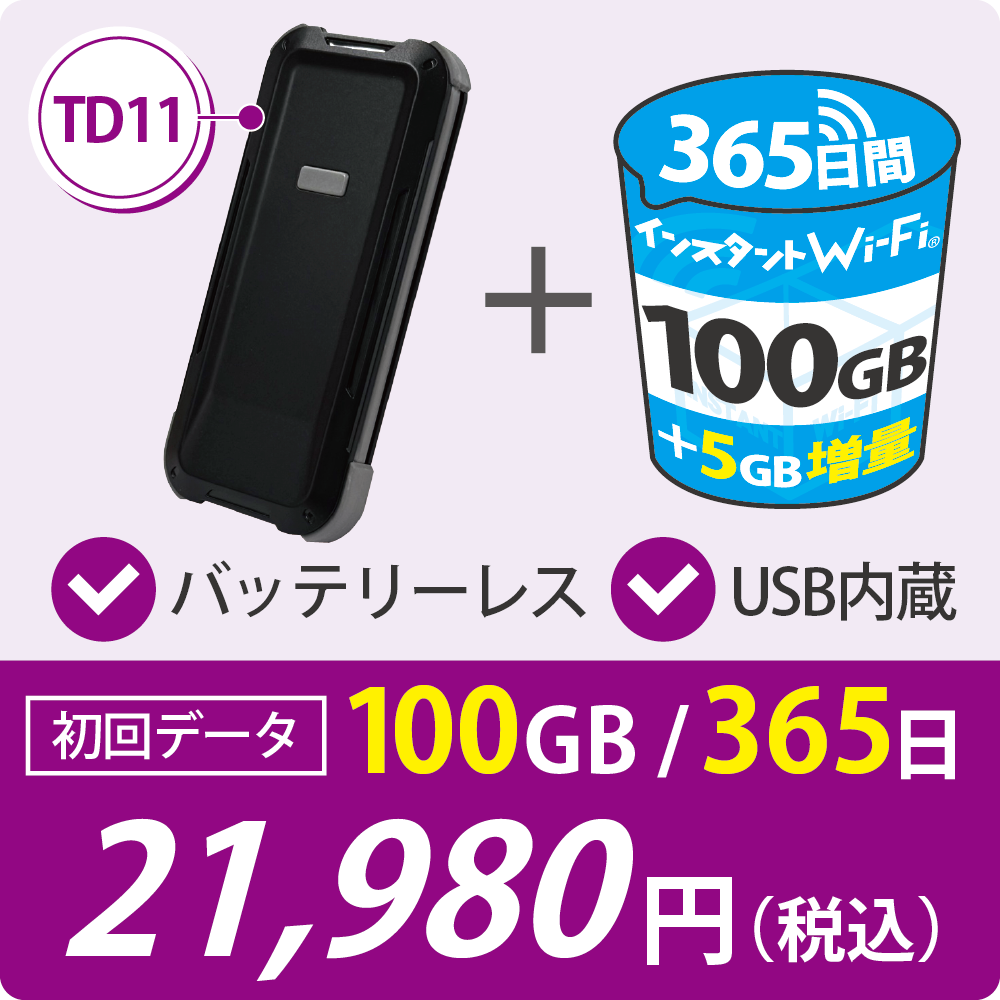 TD11 初回データ100GB/365日