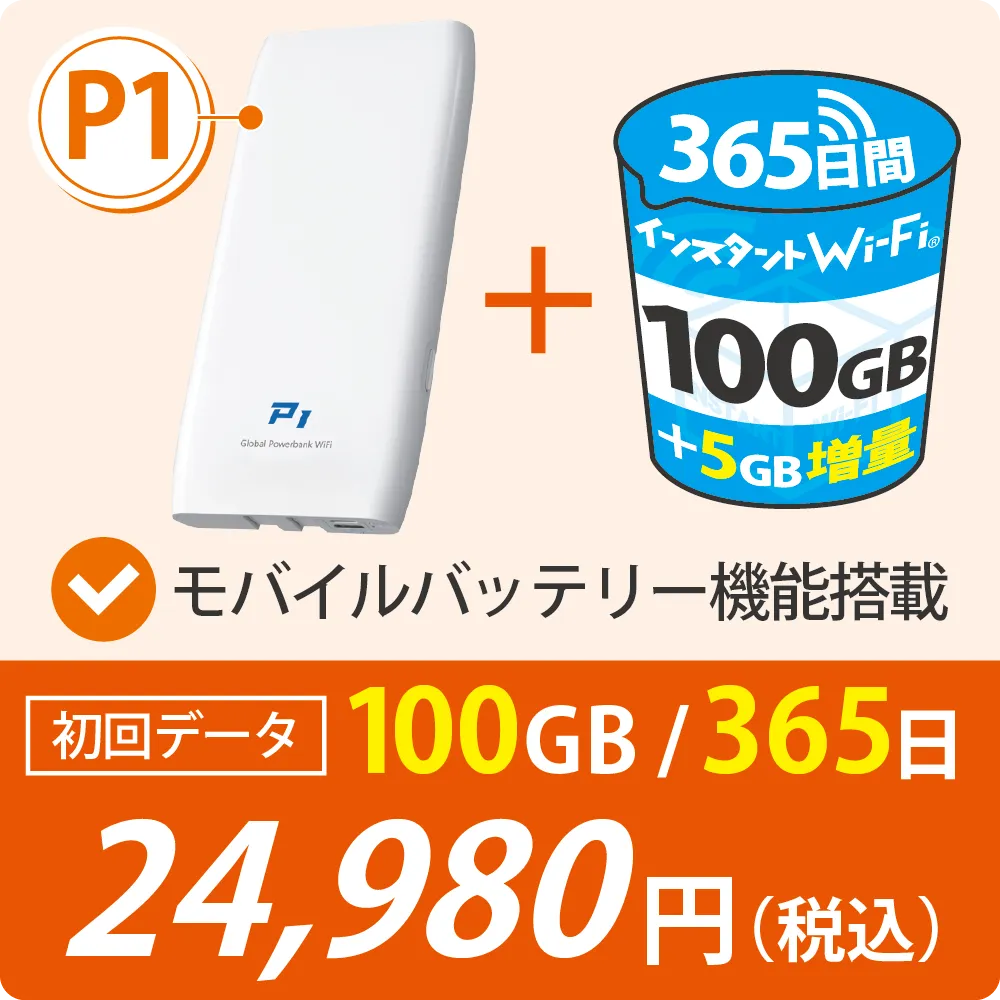 P1 初回データ100GB/365日