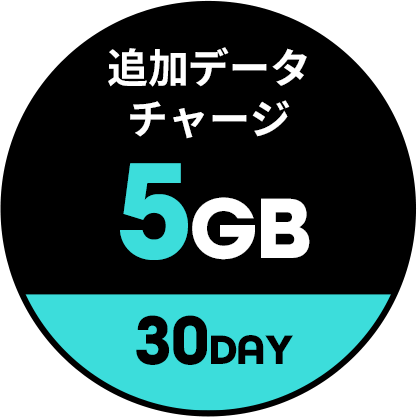 追加データ5GB/30day 商品画像