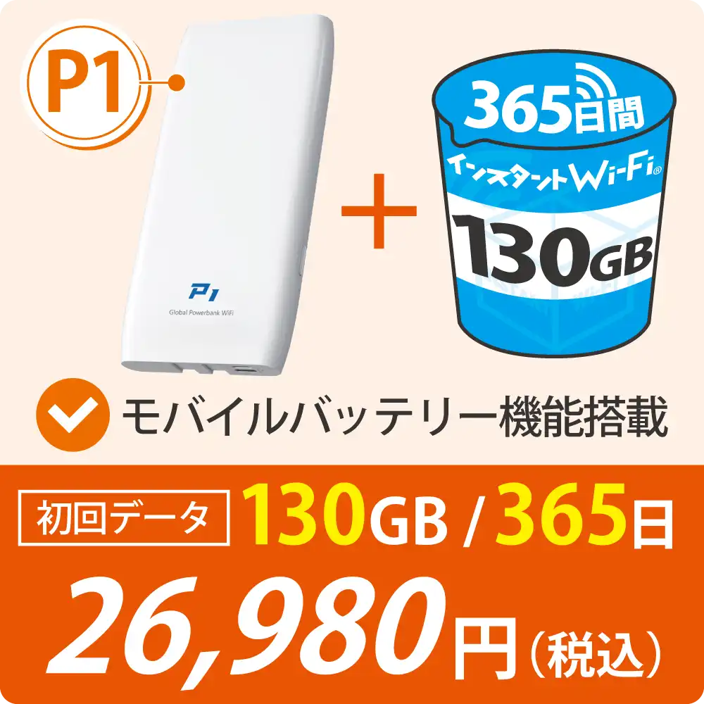 P1 初回データ130GB/365日