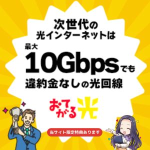 おてがる光クロス
