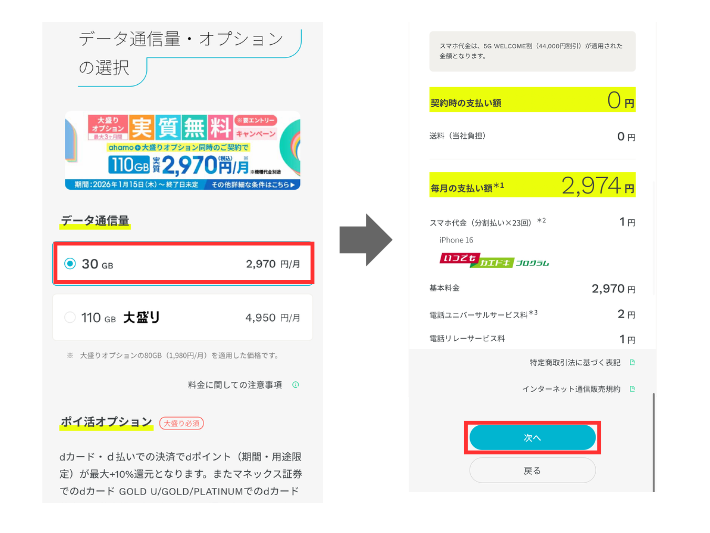 データ通信量やオプションを選択する