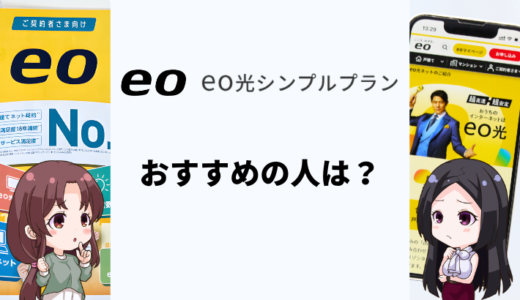 eo光シンプルプランはおすすめ？専門家の評価はどう？