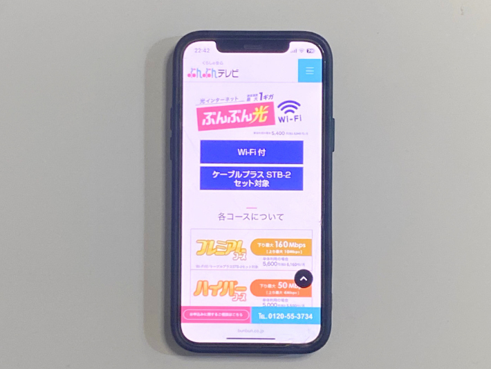 ぶんぶんネット
