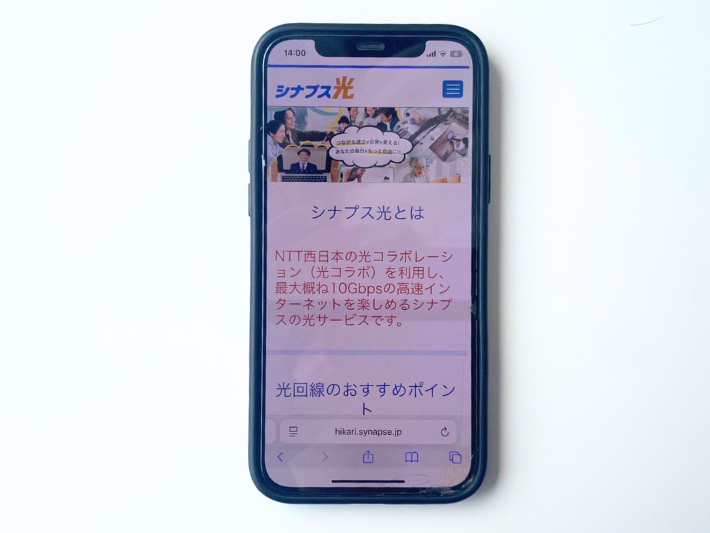 シナプス光
