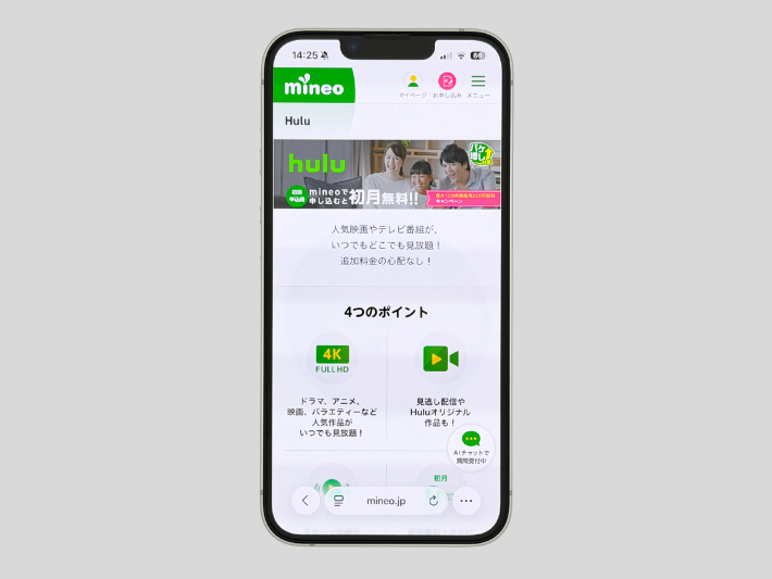 Hulu 最大12カ月間毎月220円割引キャンペーン