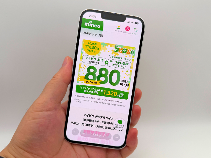 秋のピッタリ割